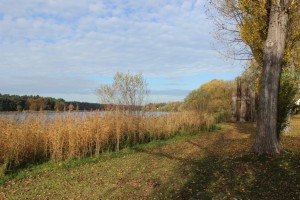 Blick auf die Havel während der Fischmahlzeit