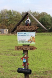 Für uns zu früh: Erlebnisschlafen im Heu